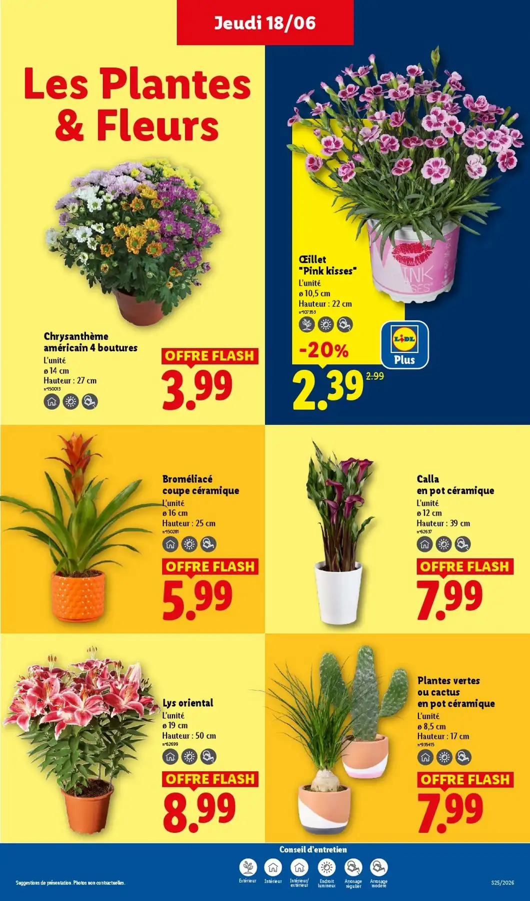 Catalogue Lidl Du 25 Juin Au 01 Juillet 2026 - Image 1 Du 18 Juin
