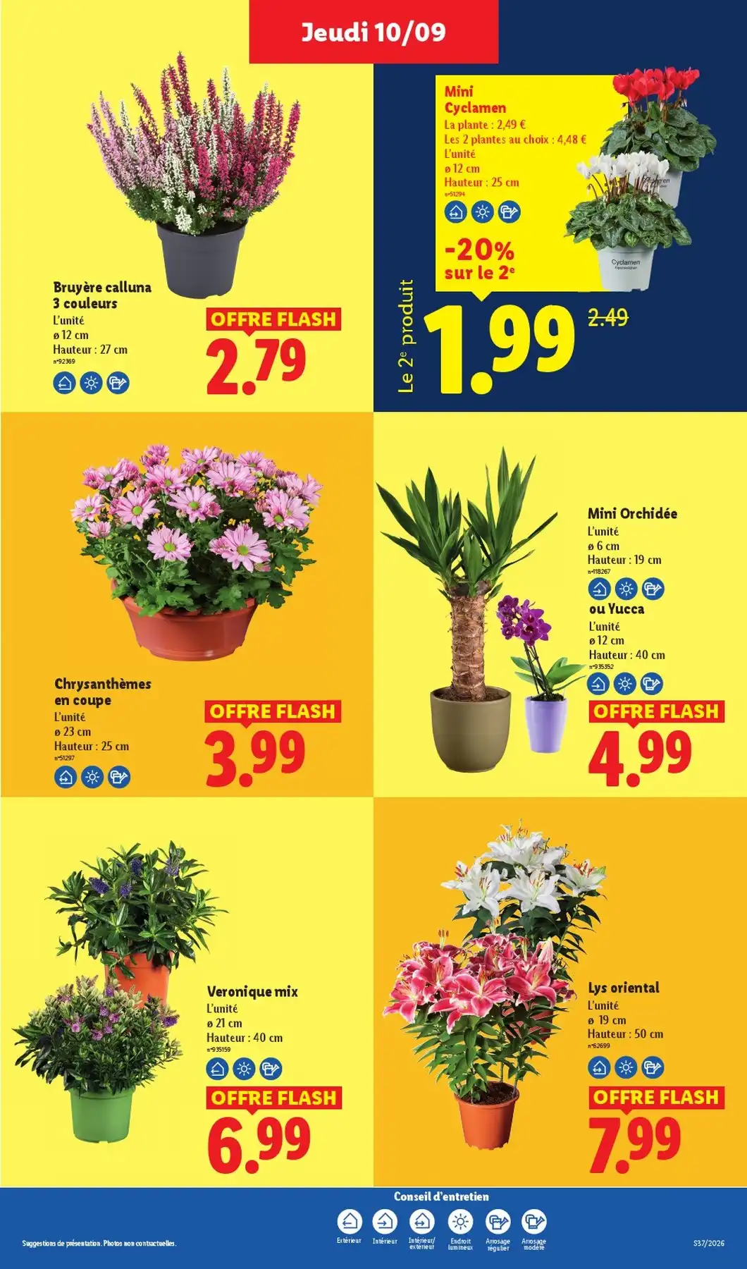 Catalogue Lidl Du 10 Septembre Au 16 Septembre 2026 - Image 5 Du 10 Septembre